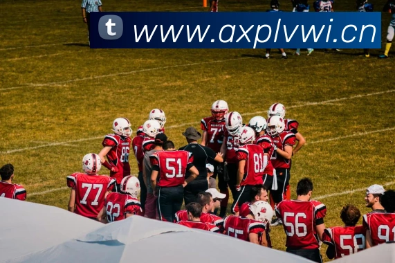 hth官网地址APP 封面图